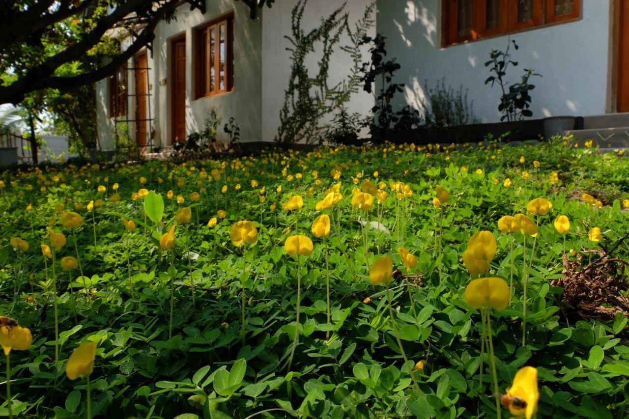 Dao Hoa Vang Villa Cam Ranh Buitenkant foto
