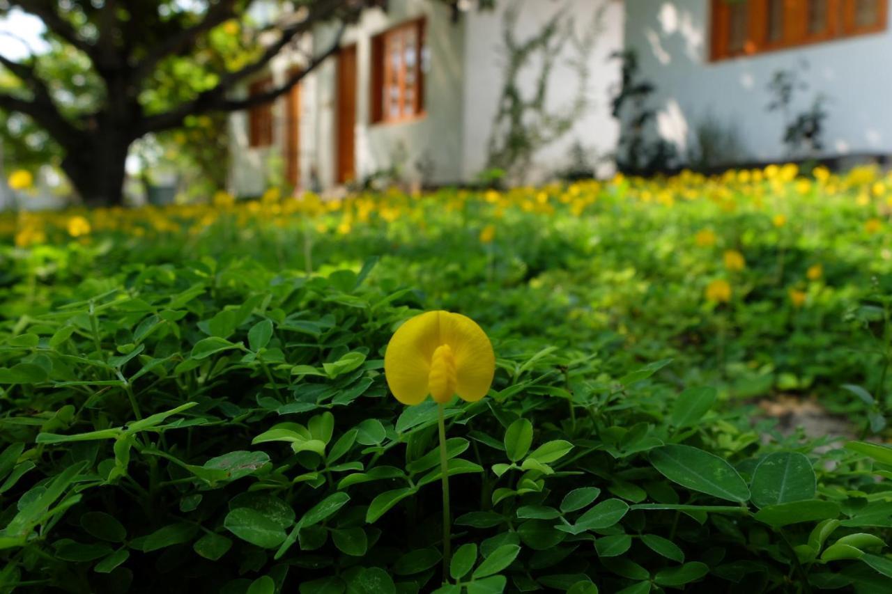 Dao Hoa Vang Villa Cam Ranh Buitenkant foto