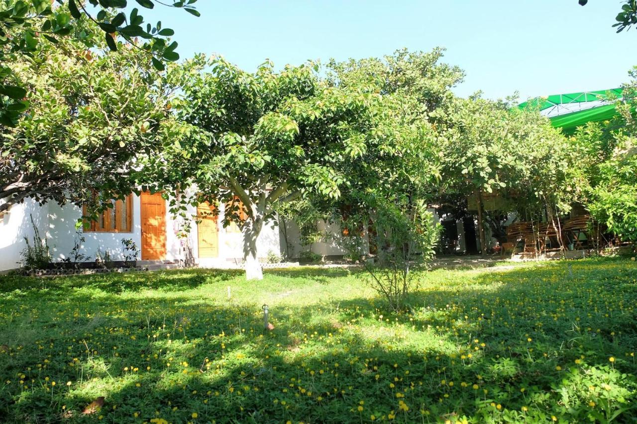 Dao Hoa Vang Villa Cam Ranh Buitenkant foto